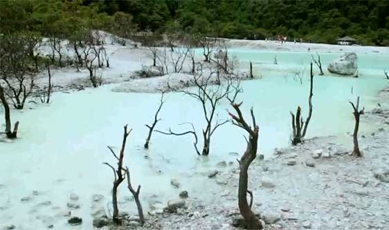 Dead trees at Kawah Putih, not far from Bandung