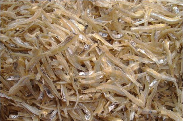 Ingredients & spices - Anchovies, dried - Ikan teri