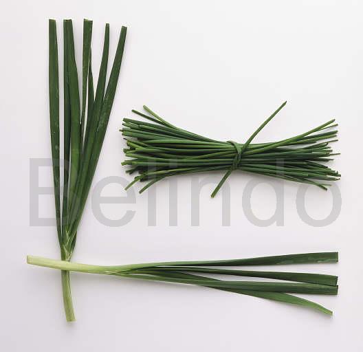 Ingredients & spices - Chives, coarse - Kucai