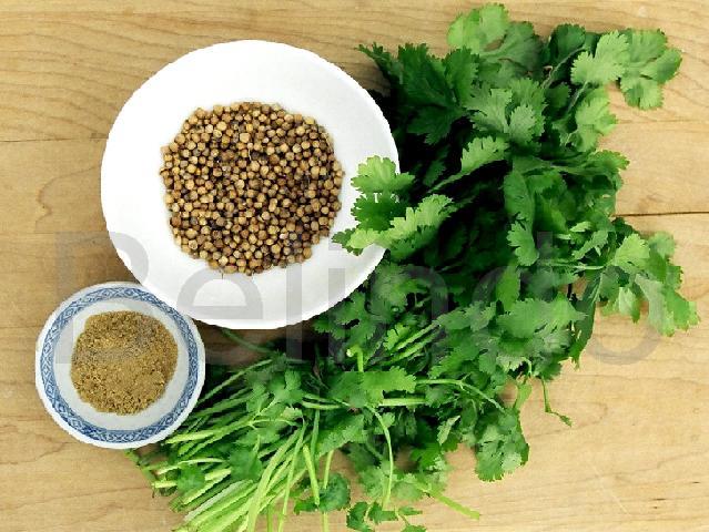 Ingredients & spices - Coriander - Ketumbar