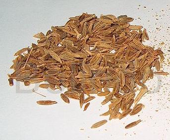 Ingredients & spices - Cumin - Jinten