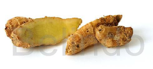 Ingredients & spices - Kencur