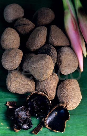 Ingredients & spices - Kluwak